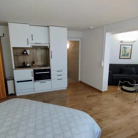 아파트 40 M2 A La Campagne Proche De Strasbourg Mittelhausbergen