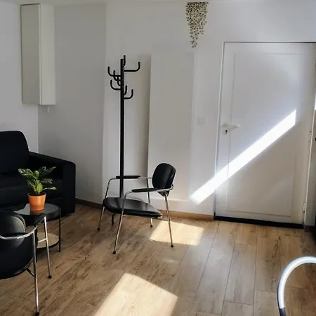 아파트 40 M2 A La Campagne Proche De Strasbourg Mittelhausbergen